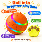 LED dog ball feature guide showing paw-patterned shell, colorful light bands, yellow paw-shaped remote and USB rechargeable design
