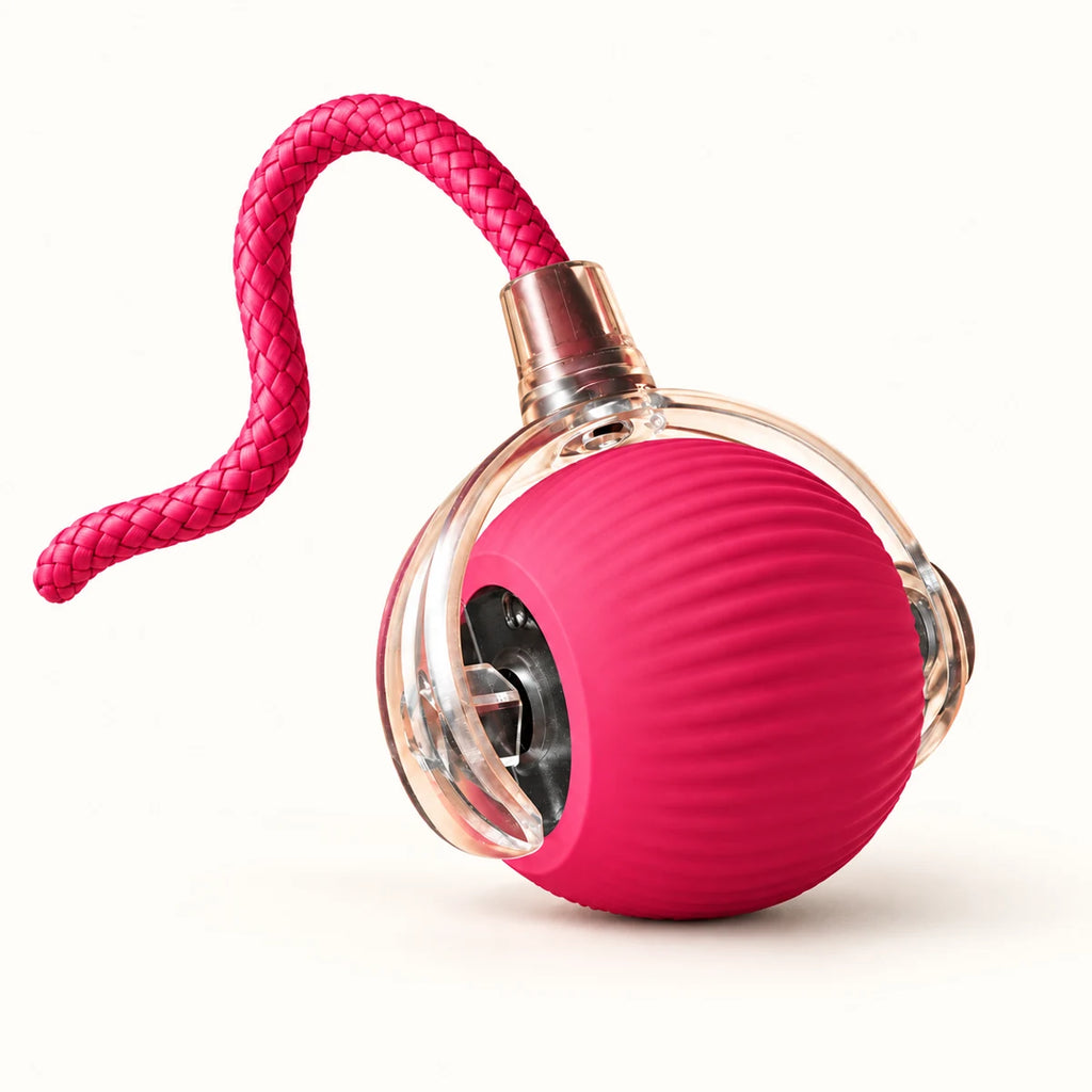 Pink ribbed rolling cat ball in a clear shell with braided pink tail on a clean off-white background
